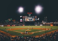 新手入门指南：米兰体育app官网入口