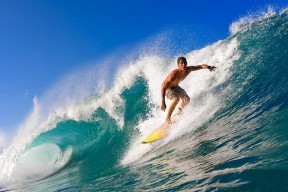 全面解析：米兰体育app官网入口