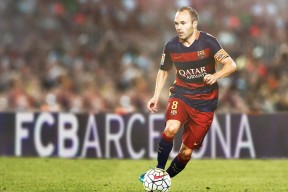 平台系统特点中米兰体育app官网下载的表现全面解析